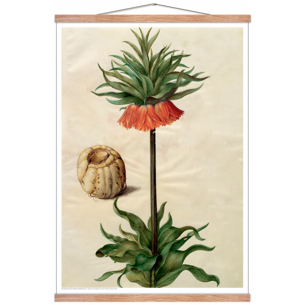 Holtzbecker, Blomstermotiv 9