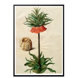 Holtzbecker, Blomstermotiv 9