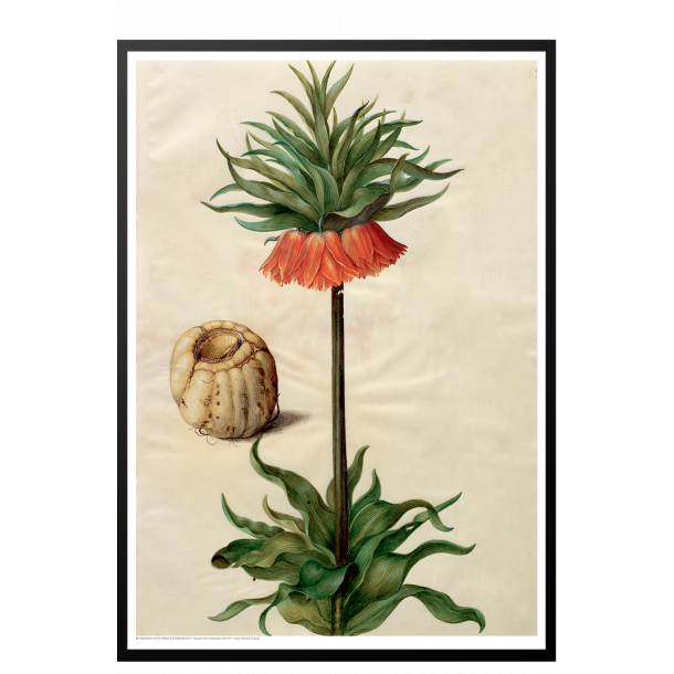 Holtzbecker, Blomstermotiv 9