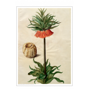 Holtzbecker, Blomstermotiv 9