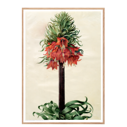 Holtzbecker, Kejserkrone