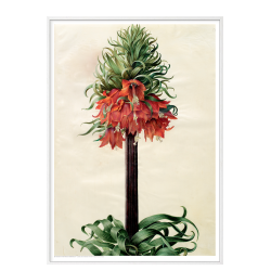 Holtzbecker, Kejserkrone