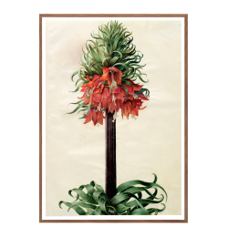 Holtzbecker, Kejserkrone