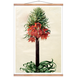 Holtzbecker, Kejserkrone