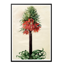 Holtzbecker, Kejserkrone