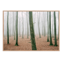 "How to hunt" - Kmpehjen. Sndergaard