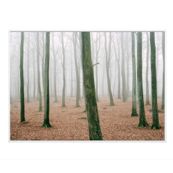 "How to hunt" - Kmpehjen. Sndergaard