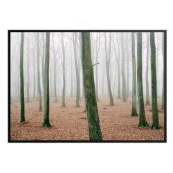 "How to hunt" - Kmpehjen. Sndergaard