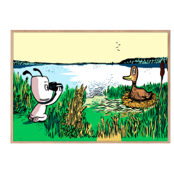 Hunden Ib hjlper and