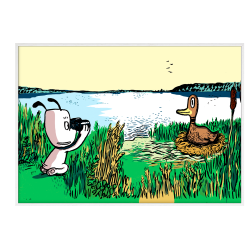 Hunden Ib hjlper and