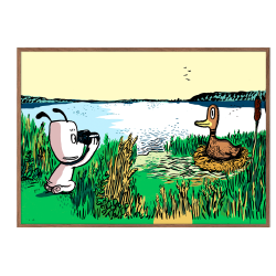 Hunden Ib hjlper and