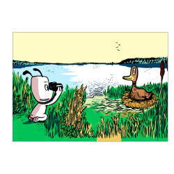 Hunden Ib hjlper and