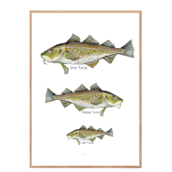 Hvilken torsk er du? - Plakat med dyr