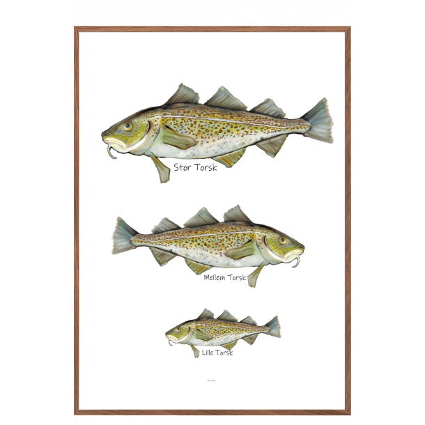 Hvilken torsk er du? - Plakat med dyr