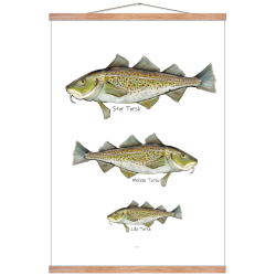 Hvilken torsk er du? - Plakat med dyr