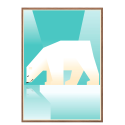 Isbjrn. Martin Schwartz