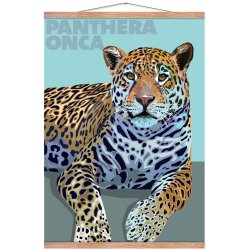 Panthera  Onca