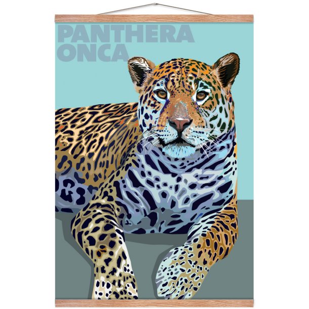 Panthera  Onca