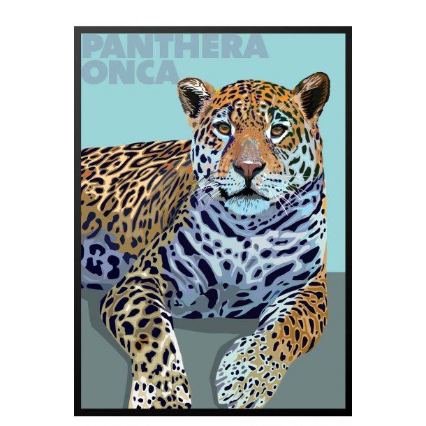 Panthera  Onca