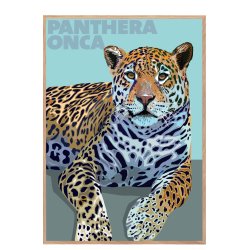 Panthera  Onca