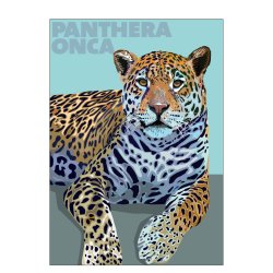 Panthera  Onca