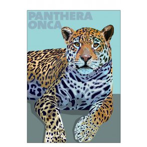 Panthera  Onca