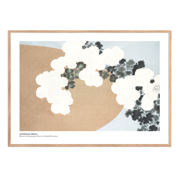 Kamisaka Sekka | Blossom from MomoyogusaFlowers