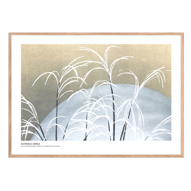 Kamisaka Sekka | Frost from Momoyogusa