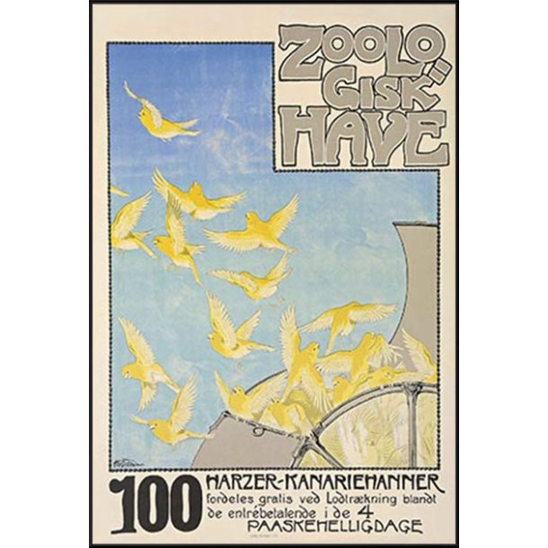 Z 29. - Zoo, Kanariefugle 