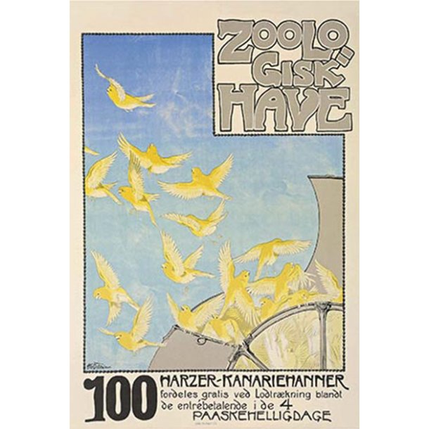 Z 29. - Zoo, Kanariefugle 