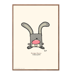 Karma Kanin, Hjrnebjrne