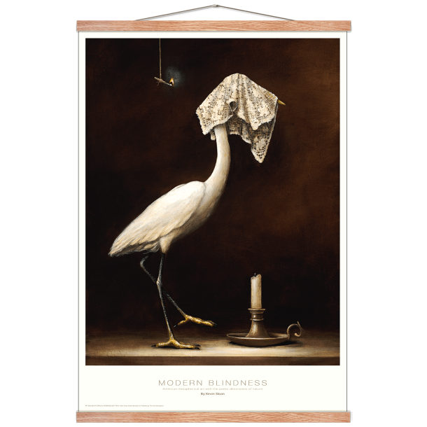 Modern Blindness, Kevin Sloan