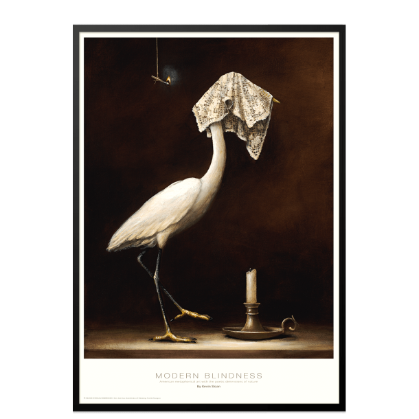 Modern Blindness, Kevin Sloan