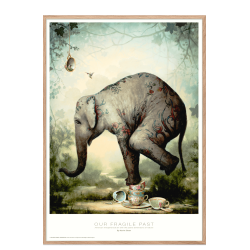 Our fragile past. Kevin Sloan