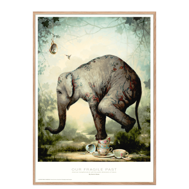 Our fragile past. Kevin Sloan