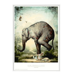 Our fragile past. Kevin Sloan