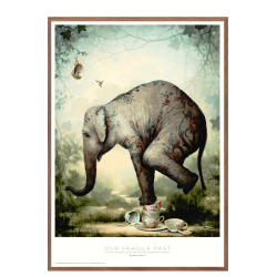 Our fragile past. Kevin Sloan