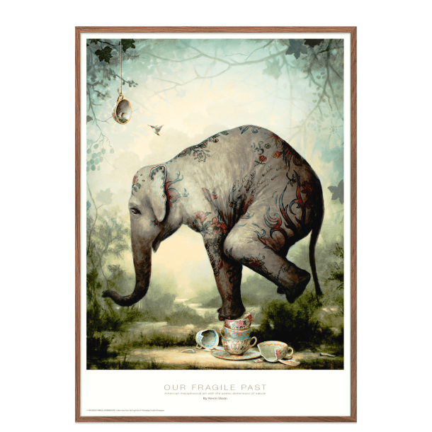 Our fragile past. Kevin Sloan