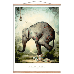 Our fragile past. Kevin Sloan