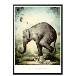 Our fragile past. Kevin Sloan