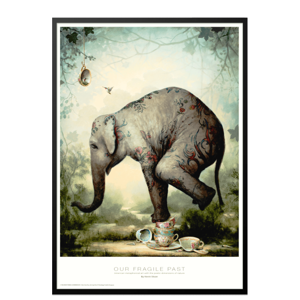 Our fragile past. Kevin Sloan