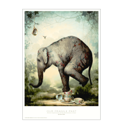 Our fragile past. Kevin Sloan