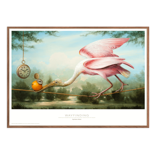 Wayfinding, Kevin Sloan