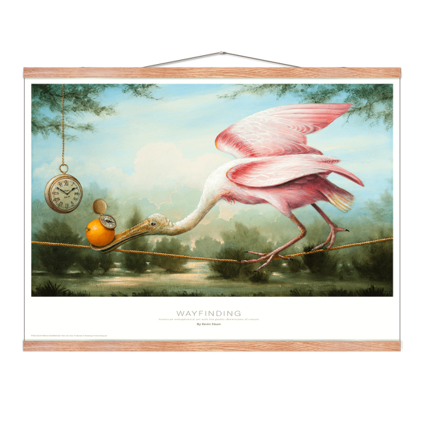 Wayfinding, Kevin Sloan
