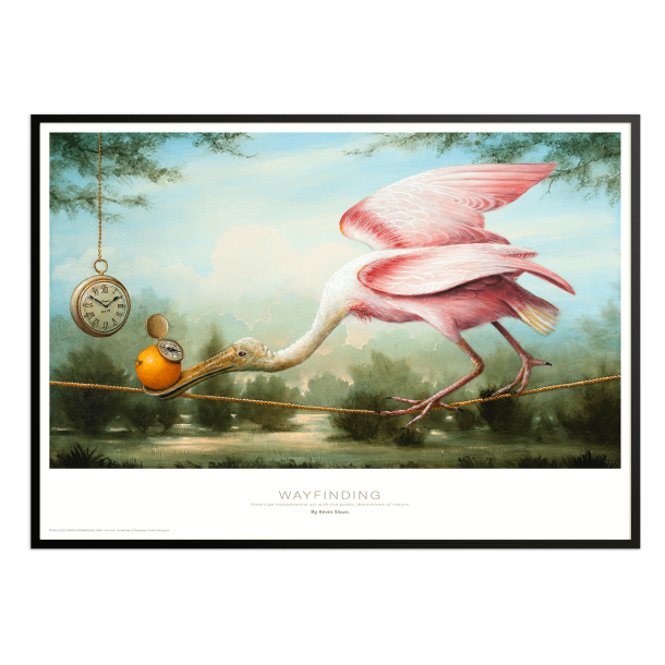 Wayfinding, Kevin Sloan