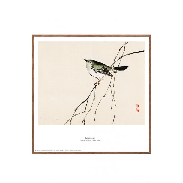 K&#333;no Bairei. Japansk trsnit m. fugl