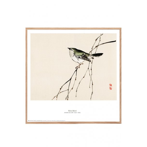 K&#333;no Bairei. Japansk trsnit m. fugl