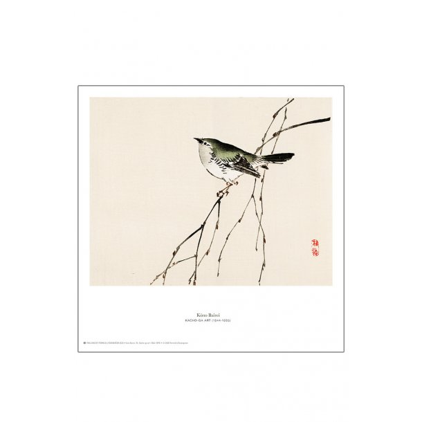 K&#333;no Bairei. Japansk træsnit m. fugl