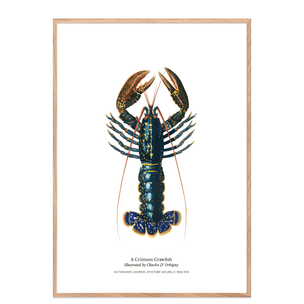 Kkkenplakat med hummer