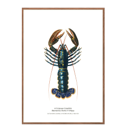 Kitchen poster with lobster